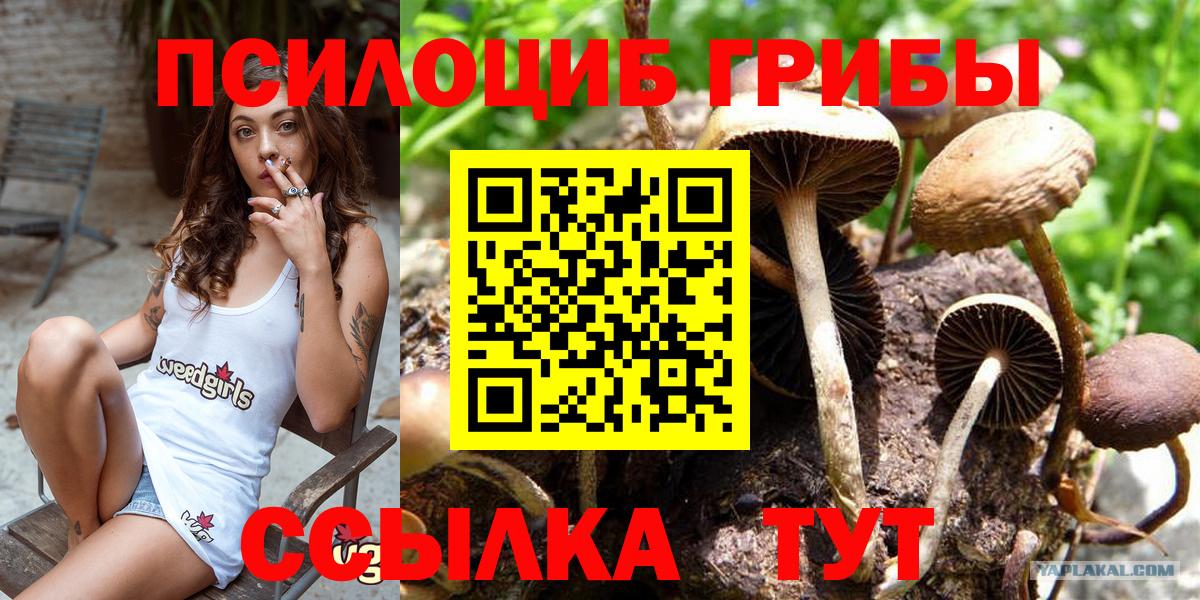 Галлюциногенные грибы MAGIC MUSHROOMS Таганрог