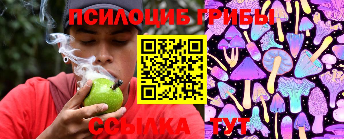 Псилоцибиновые грибы Cubensis  Псилоцибиновые грибы Psilocybe  Таганрог 